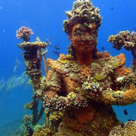 Biorock Homestay & Dive Center Pemuteran Esterno foto