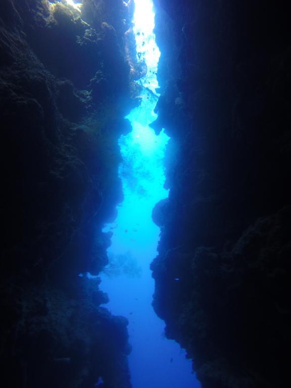Biorock Homestay & Dive Center Pemuteran Esterno foto