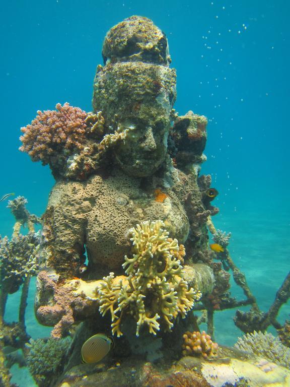 Biorock Homestay & Dive Center Pemuteran Esterno foto