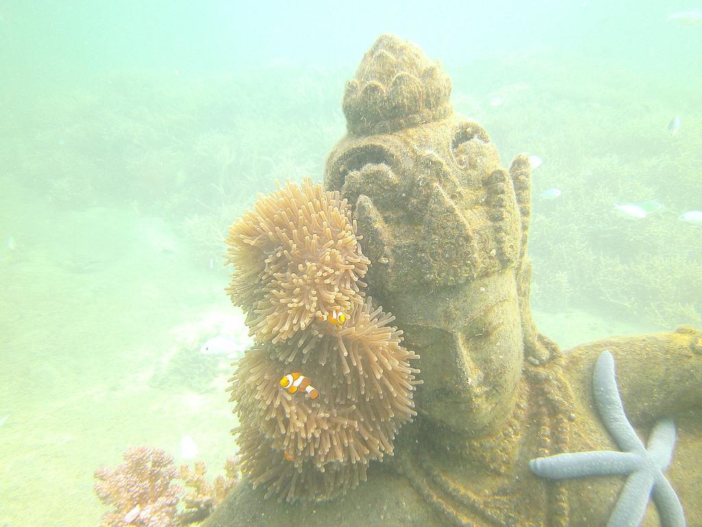 Biorock Homestay & Dive Center Pemuteran Esterno foto