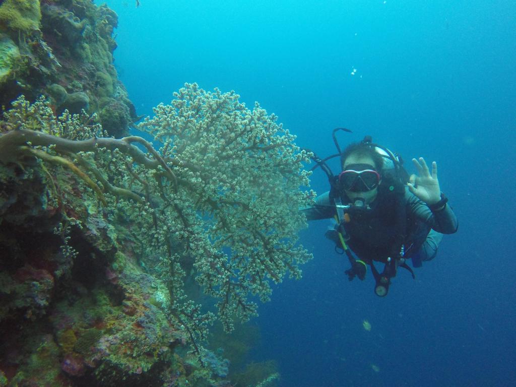 Biorock Homestay & Dive Center Pemuteran Esterno foto