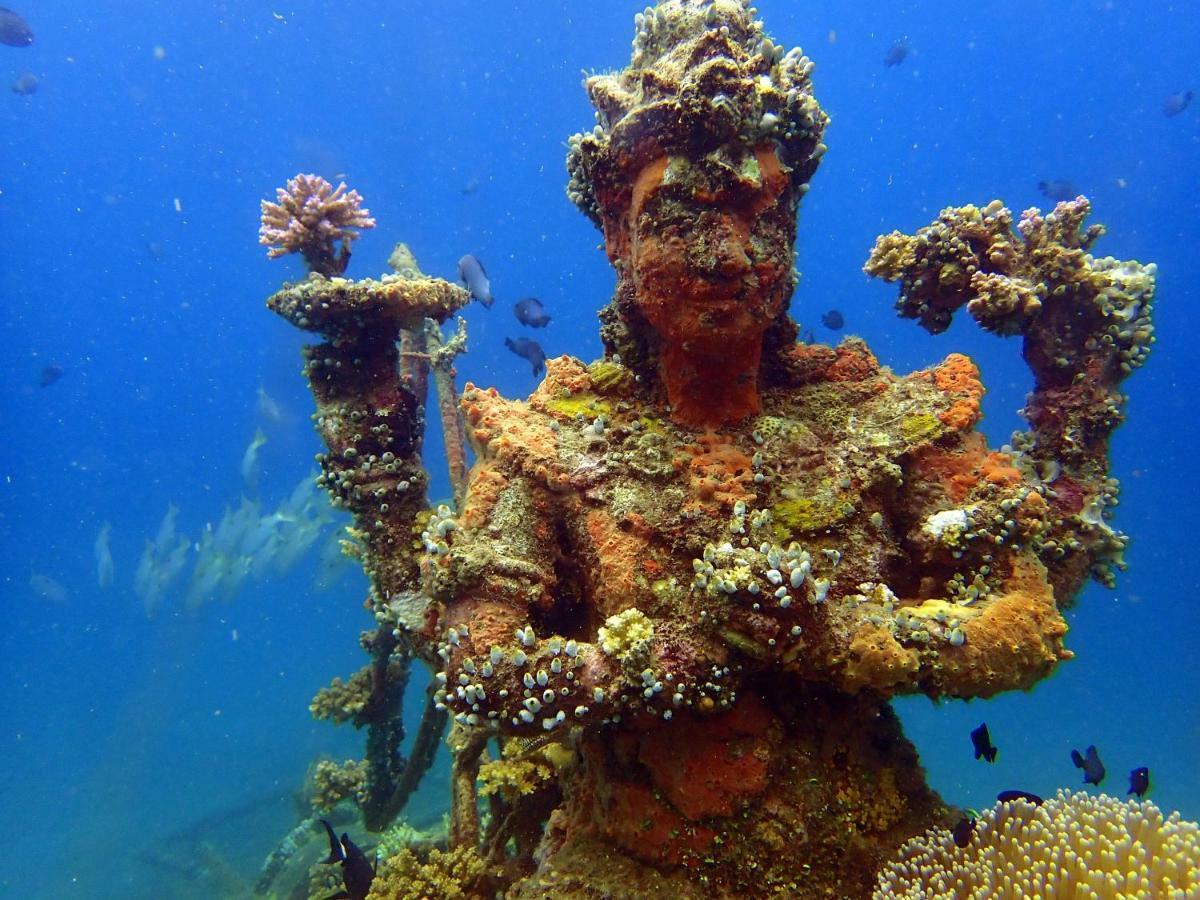 Biorock Homestay & Dive Center Pemuteran Esterno foto